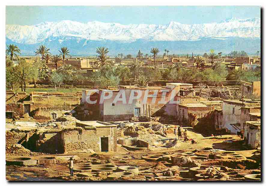 CPM Marrakech Quartier des Tanneurs Im Gerberviertel Tannerys 