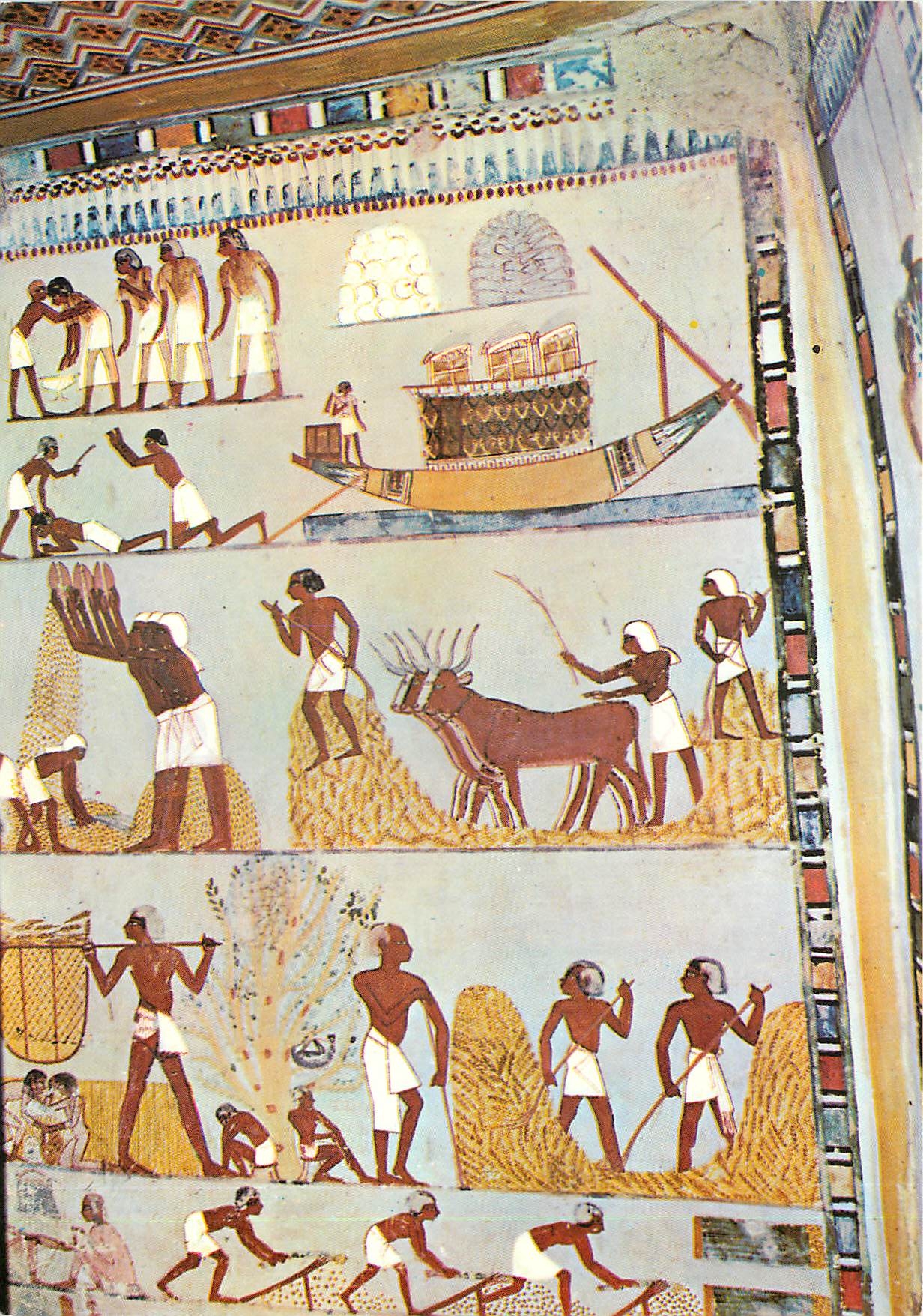 CPM Louxor Tombes des Nobles Peintures murales dans la tombe de Menna 