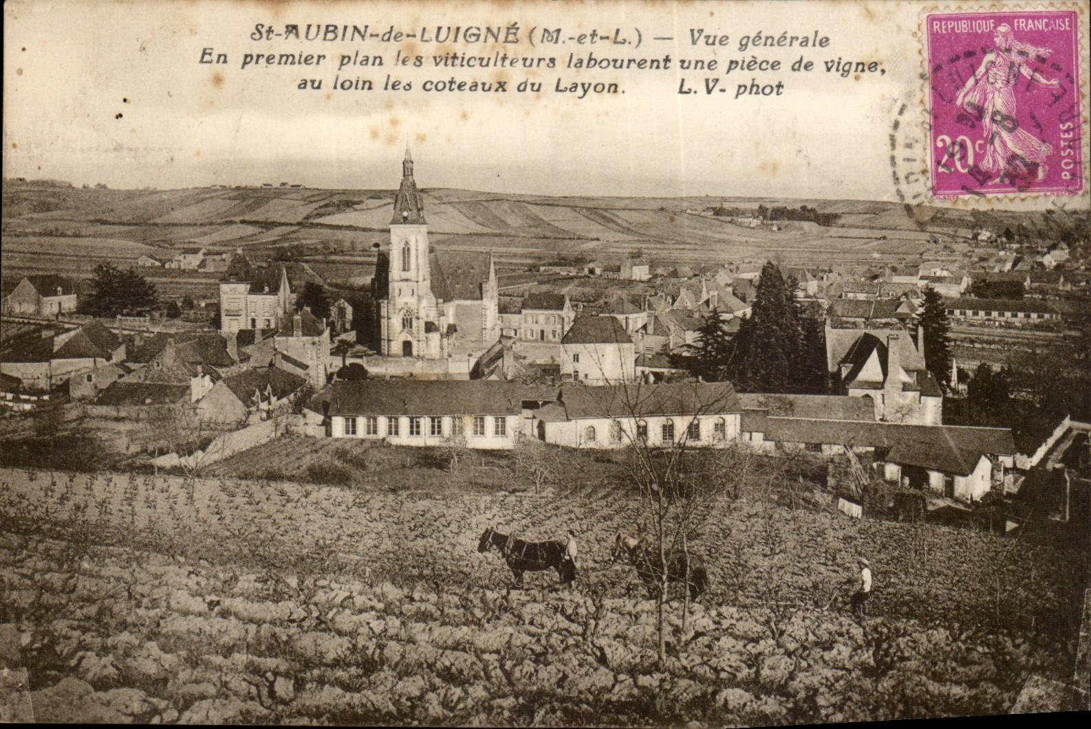 St Aubon de Luigne CPA Vue generale Coteaux de Lyon