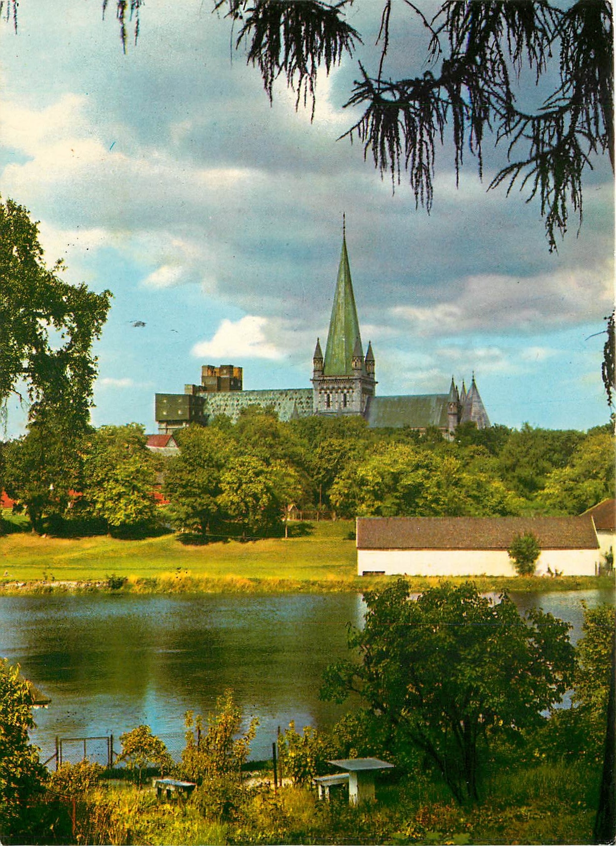 CPA Trondheim Norway Nidelven med Domkirken 