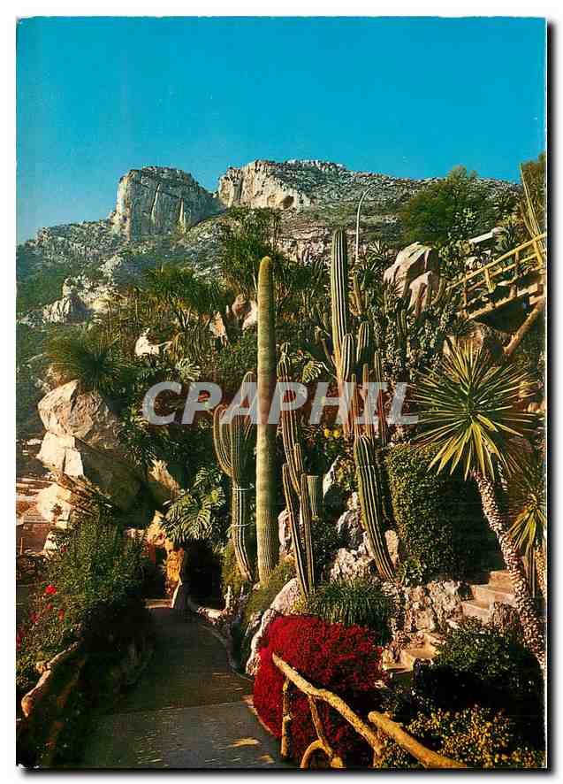 CPA Principaute de Monaco Le Jardin Exotique 