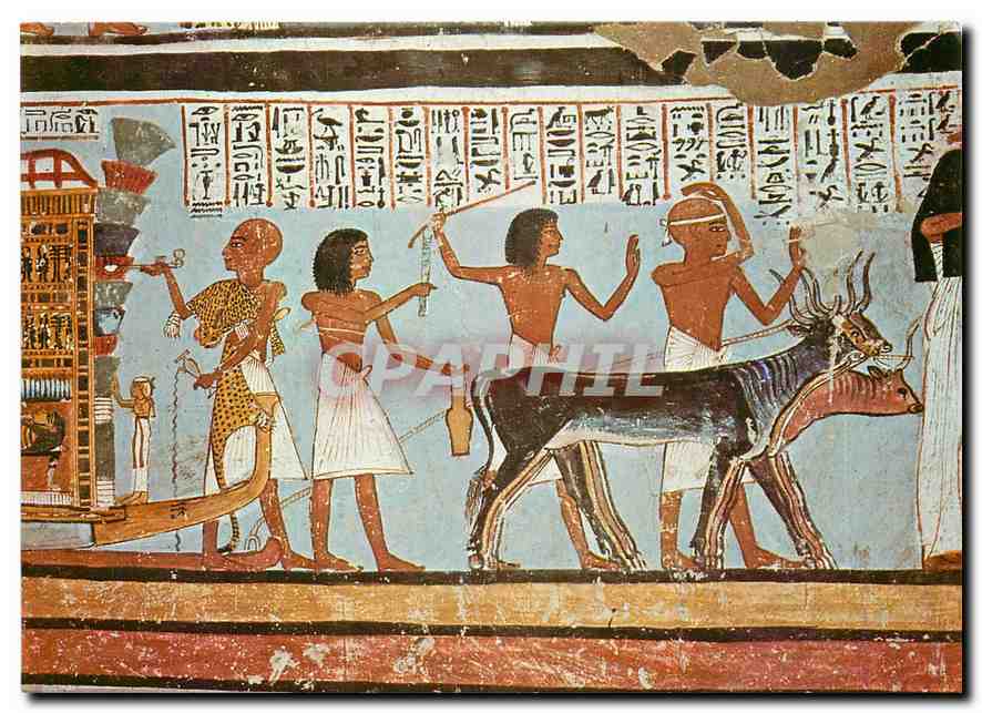 CPM Valley of the Kings Wall paintings showing religious ceremonies 