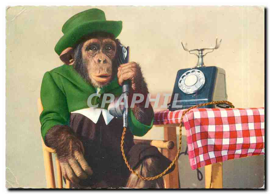 CPM Singe  Telephone