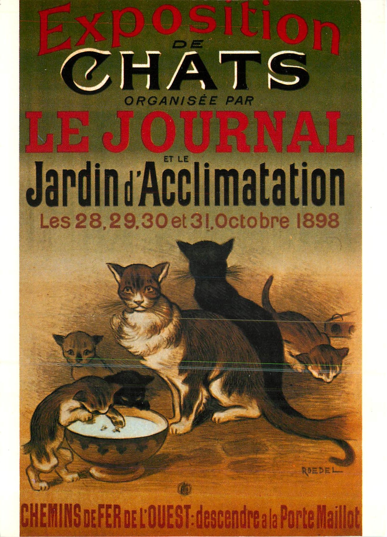 CPM Exposition de Chats Organisee par le Journal Chat