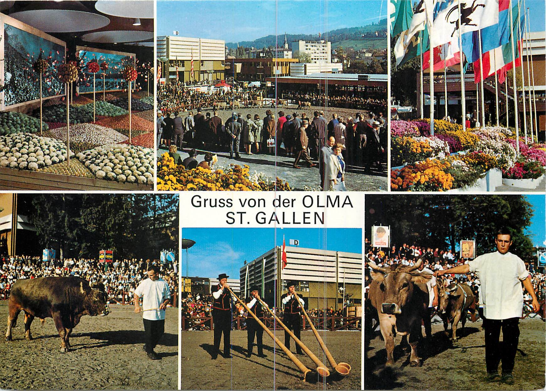 CPA Gruss von der Olma St Gallen 