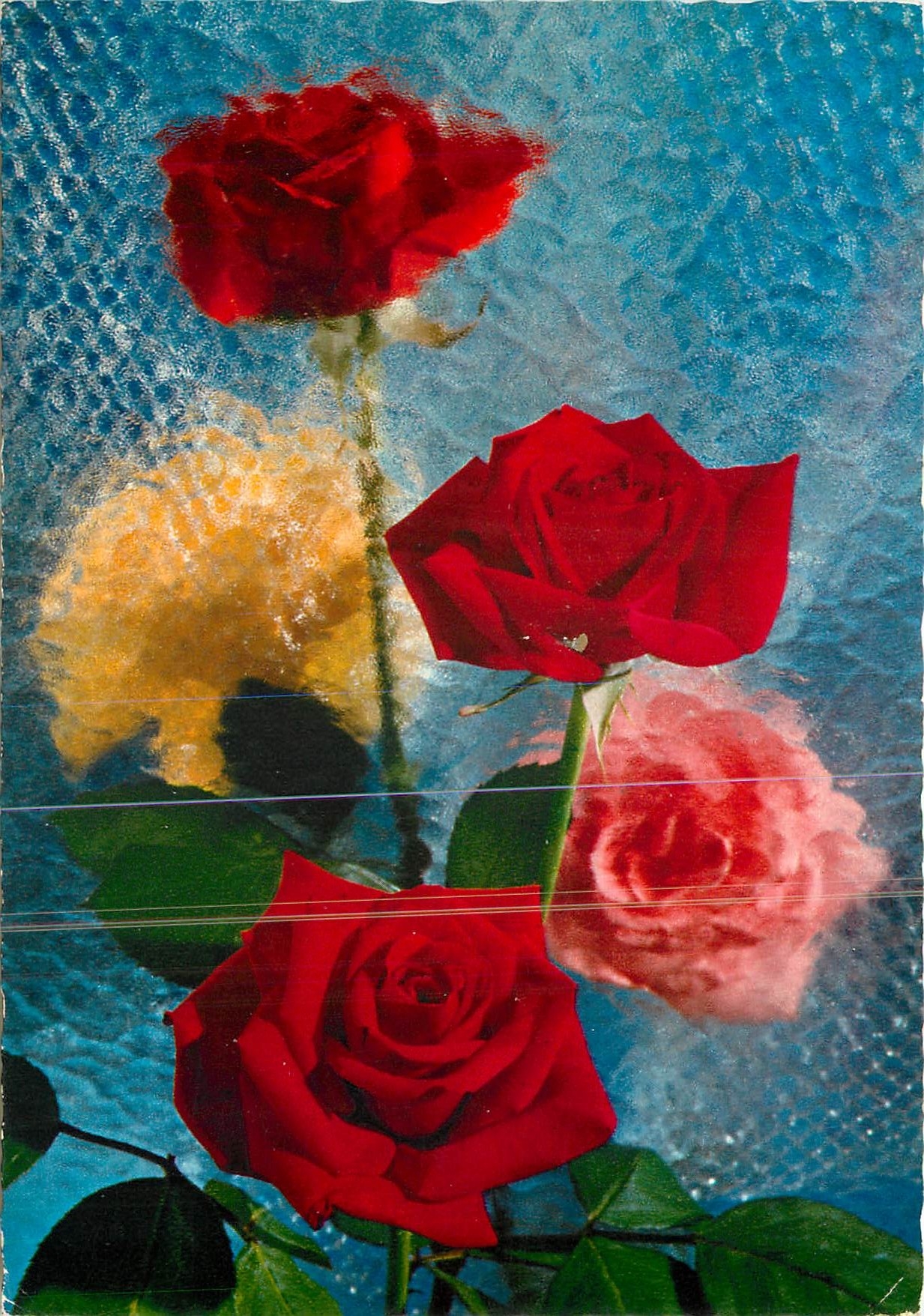 CPM Fleurs