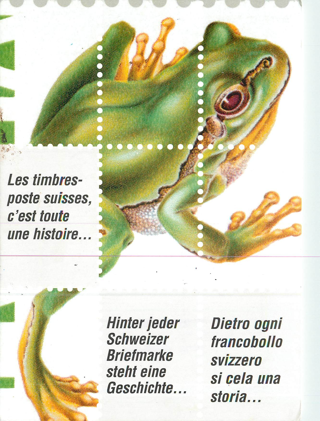 CPM Les timbres poste suisses c'est toute une histoire Grenouille