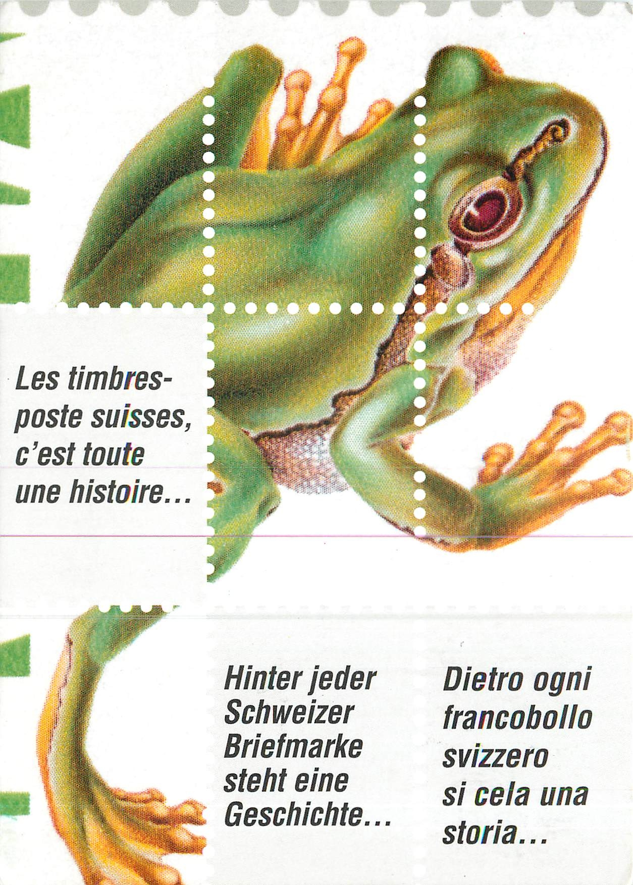 CPM Les timbres poste suisses c'est toute une histoire Grenouille