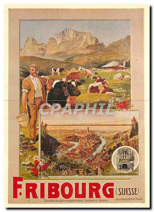 CPM Fribourg Suisse A Reckziegel Vaches