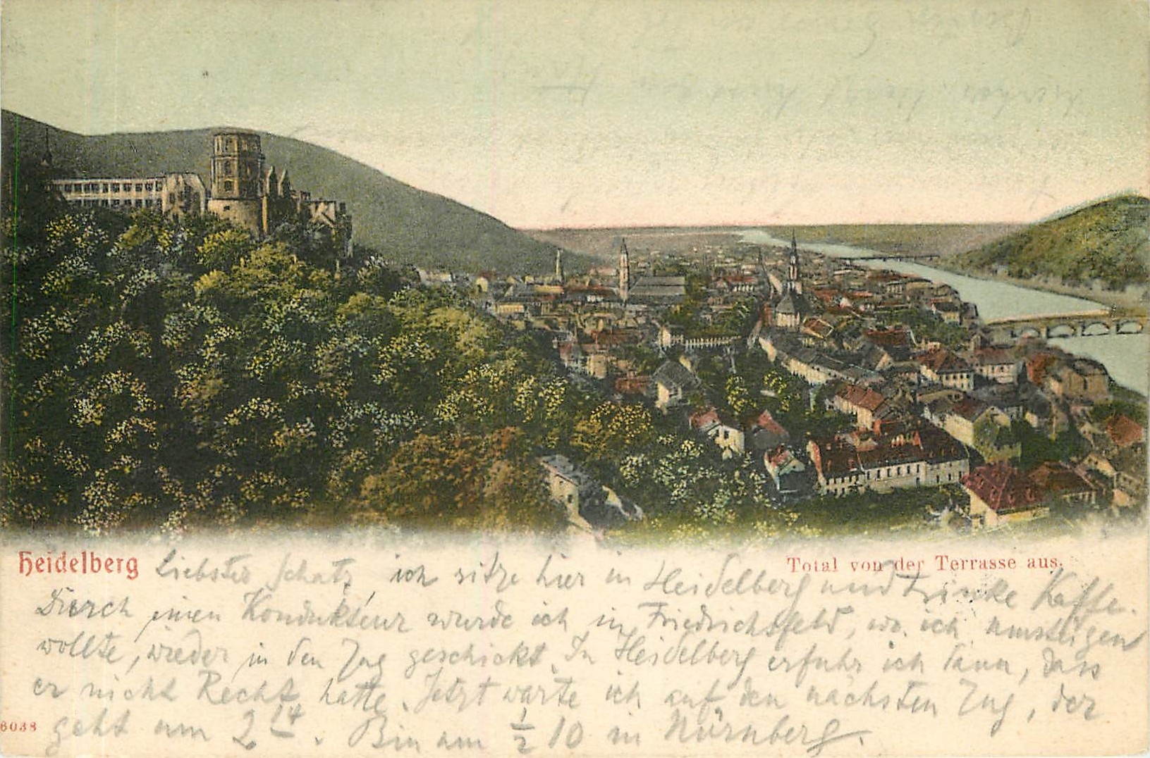CPA Heidelberg Total vom der Terrasse aus 