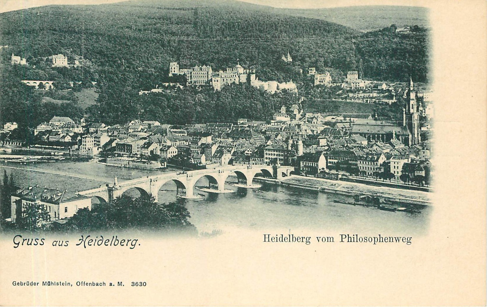 CPA Gruss aus Heidelberg Heidelberg vom Philosophenweg 