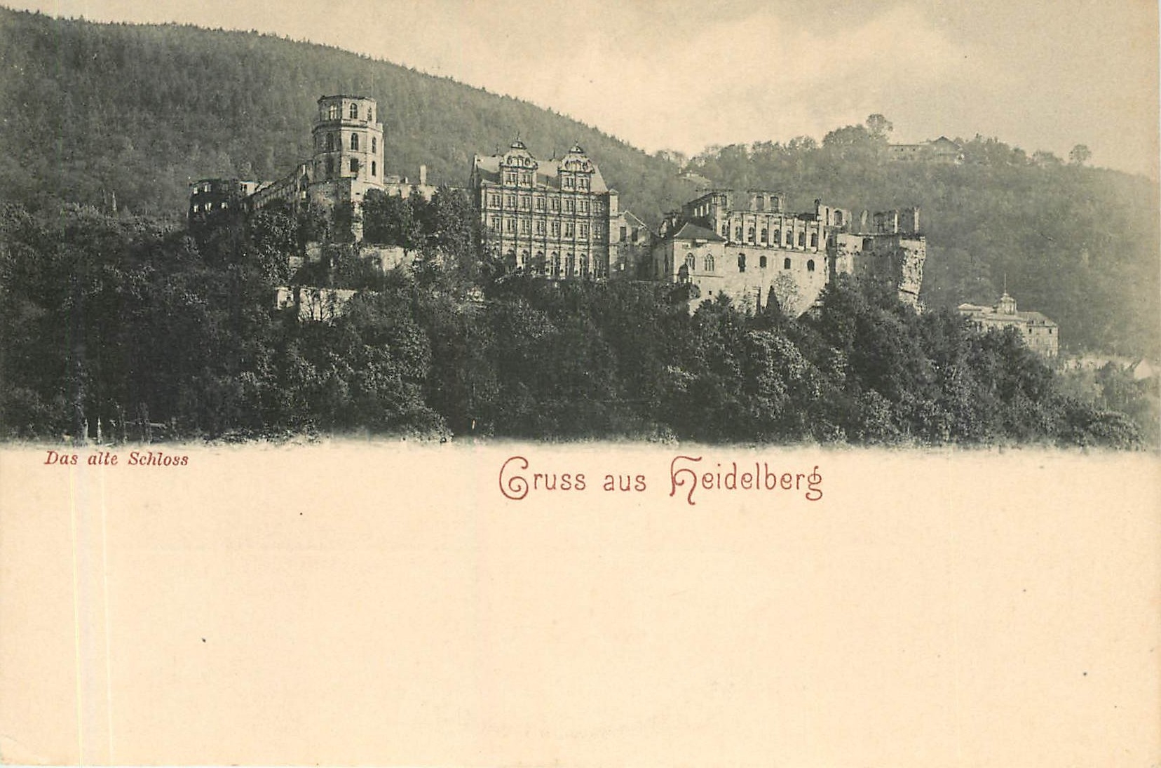 CPA Gruss aus Heidelberg Das alte Schloss 