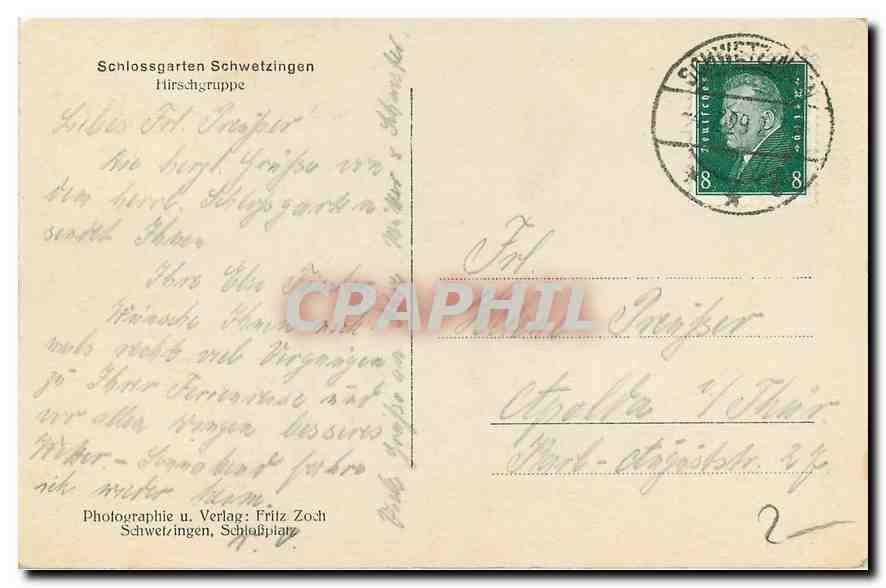 CPA Schlossgarten Schwetzingen Hirschgruppe Chiens Cerf — Rückseite