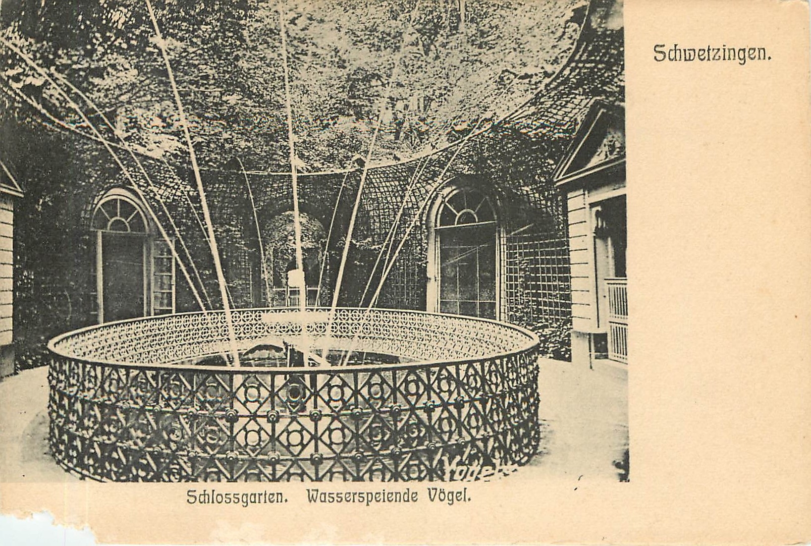 CPA Schwetzingen Schlossgarten Wasserspeiende Vogel 