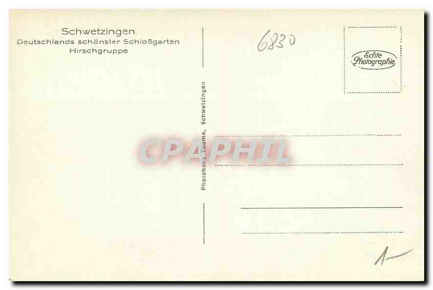 CPA Schwetzingen Deutschlands schonster Schlossgarten Hirschgruppe Chiens Cerf — Rückseite