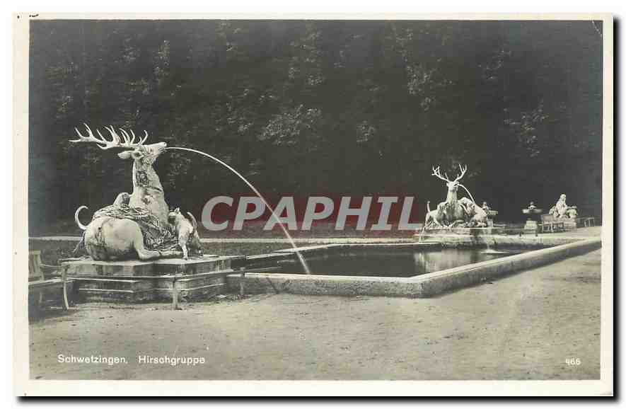 CPA Schwetzingen Hirchsgruppe Chiens Cerf