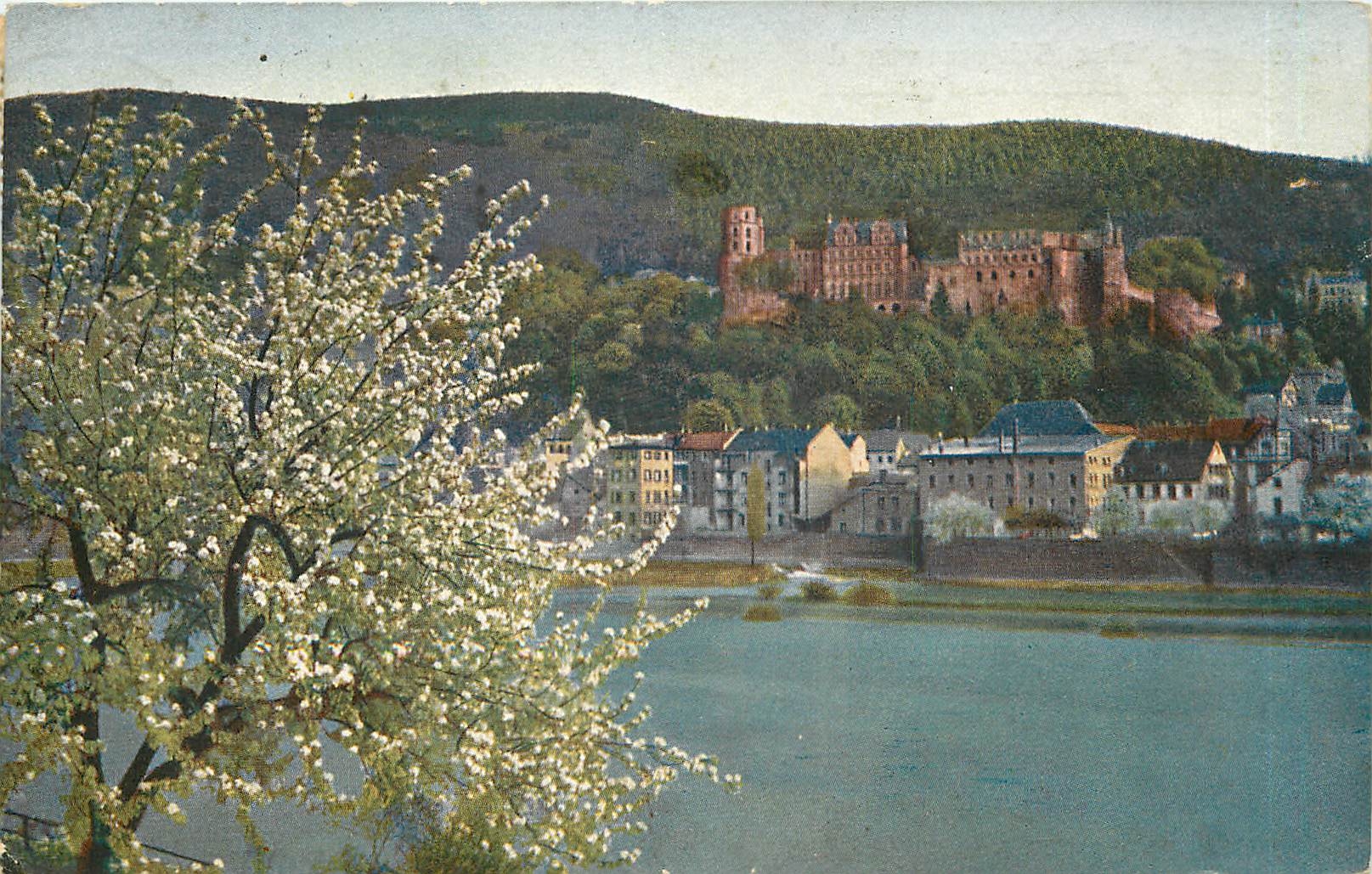 CPA Heidelberg Das Schloss von der Ziegelhauser Landstrasse gesehen 