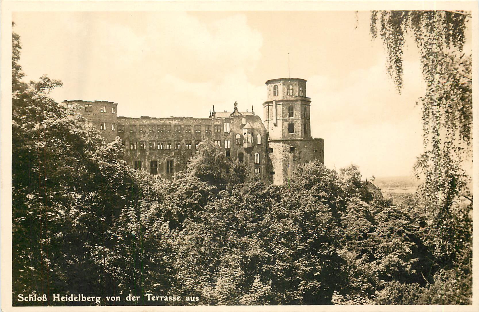 CPA Schloss Heidelberg von der Terrasse aus 