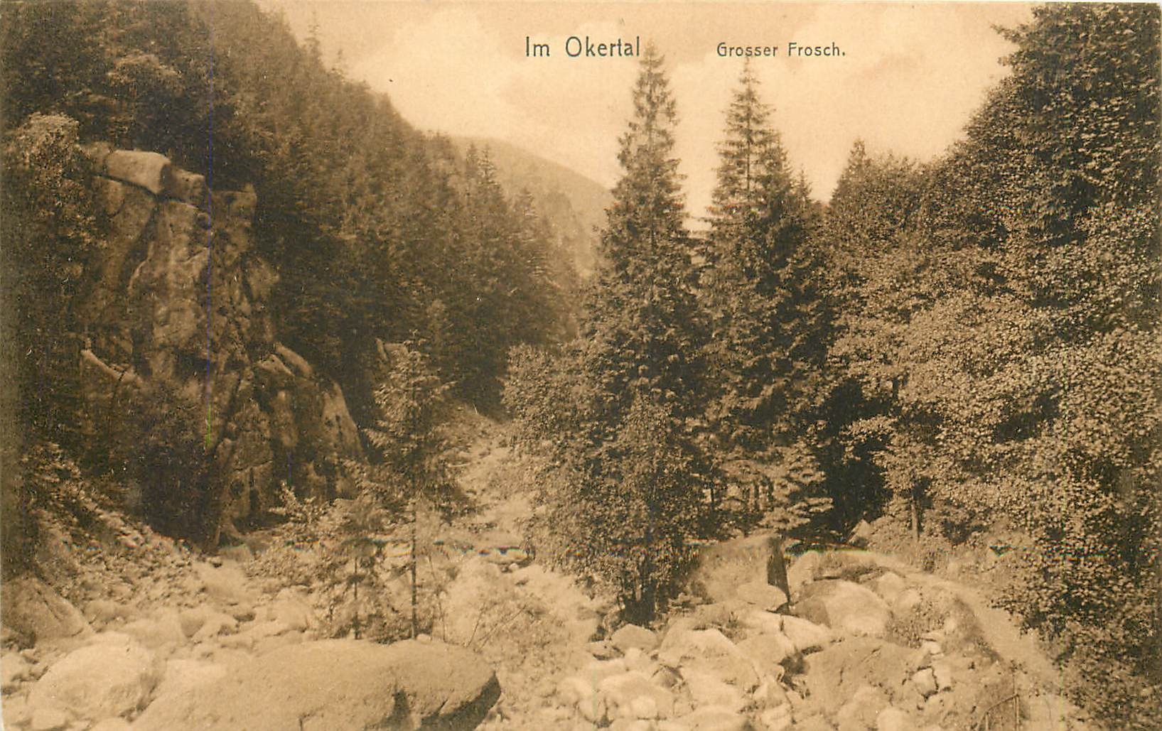 CPA Im Okertal Grosser Frosch 
