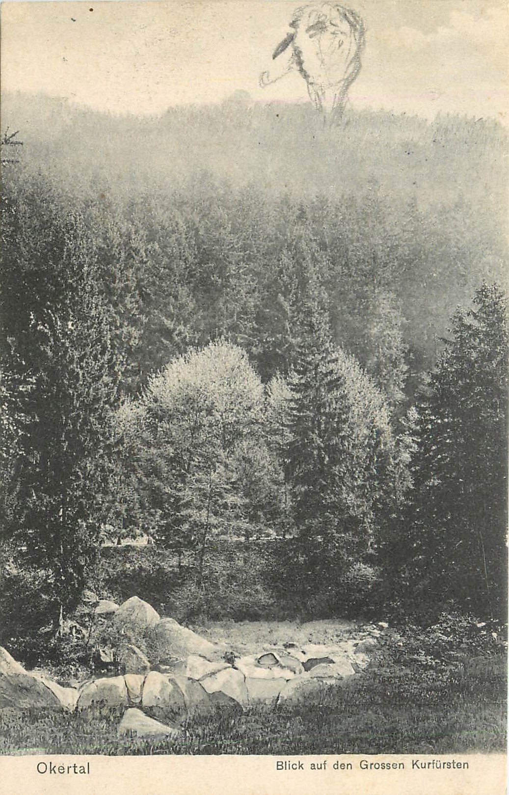 CPA Okertal Blick auf den Grossen Kurfursten 