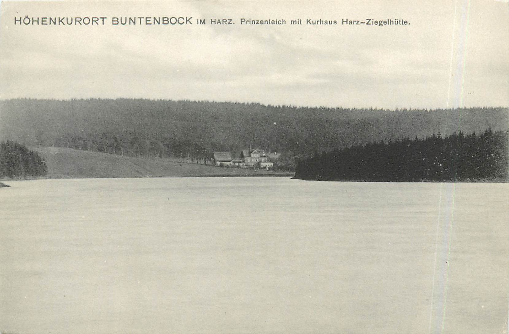 CPA Hohenkurort Buntenbock im Harz Prinzenteich mit Kurhaus Harz Ziegelhutte 