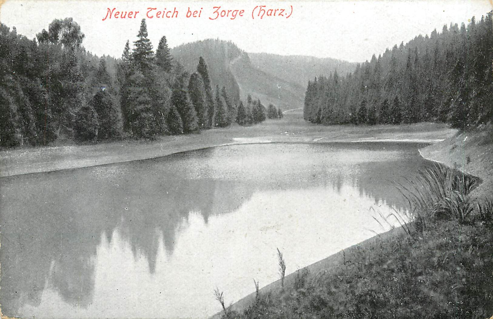 CPA Neuer Teich bei Zorge Harz 