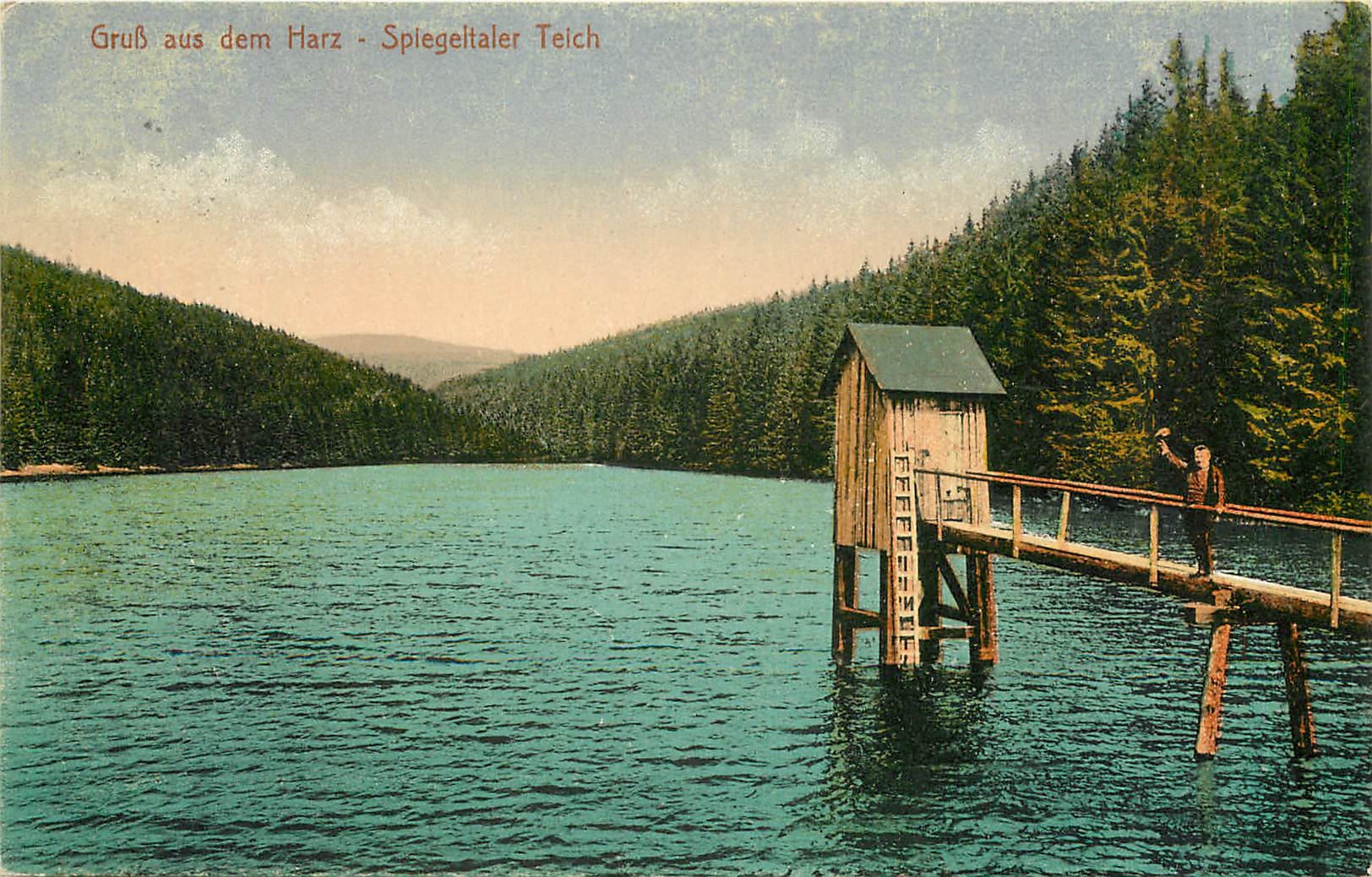 CPA Gruss aus dem Harz Spiegeltaler Teich 