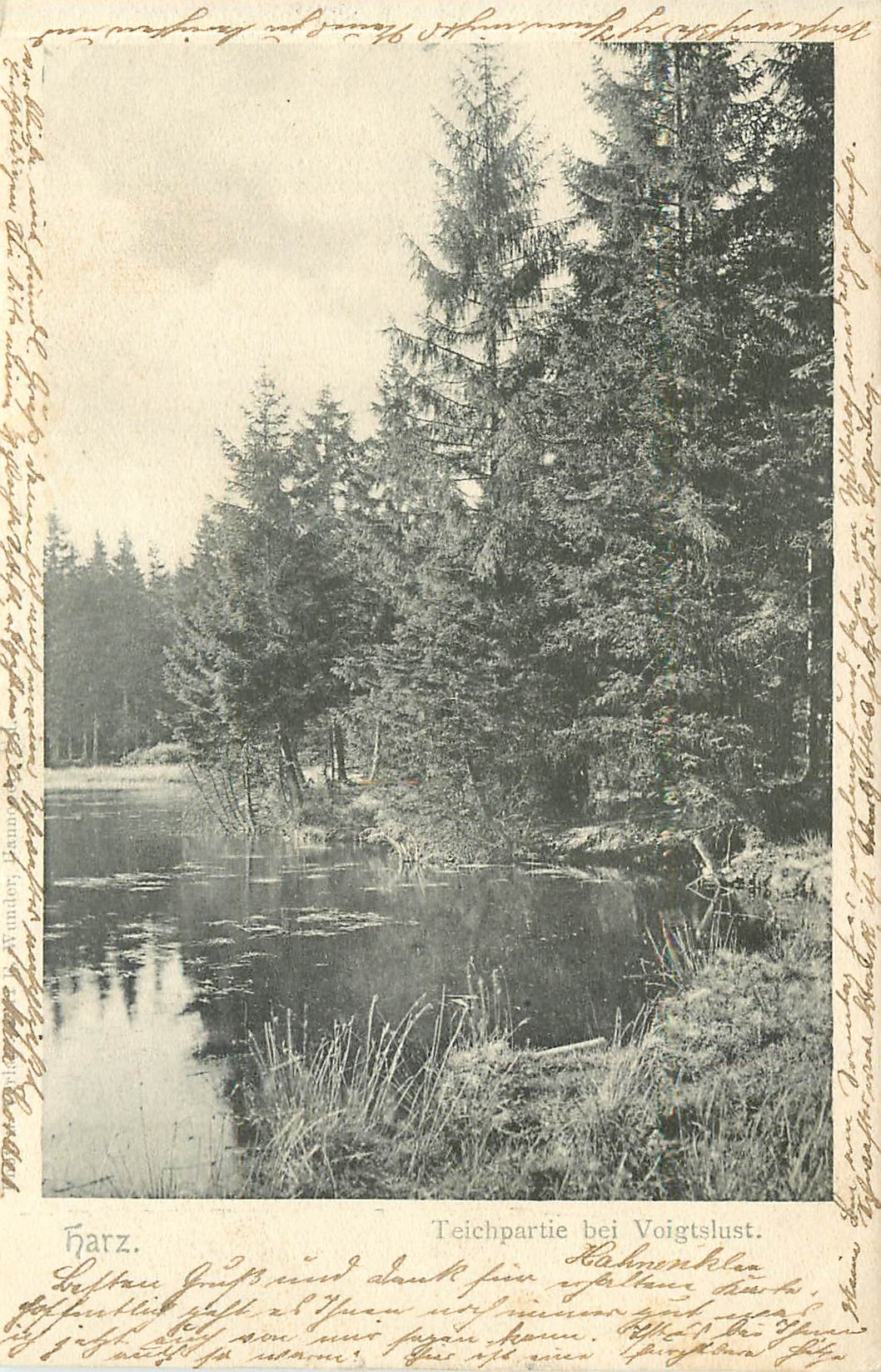 CPA Harz Teichpartie bei Woigtslust 