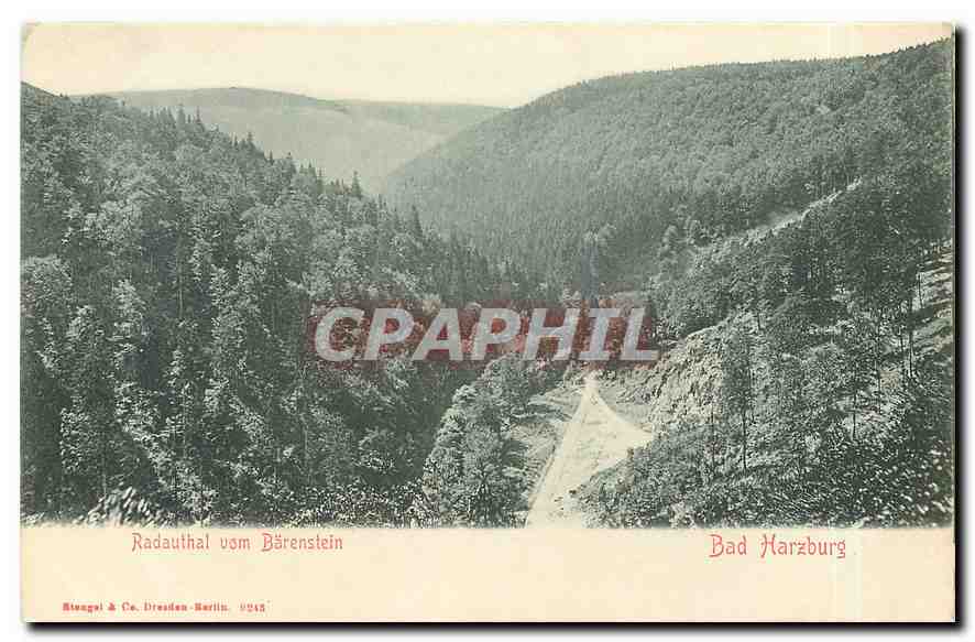 CPA Radauhal vom Barenstein Bad Harzburg 