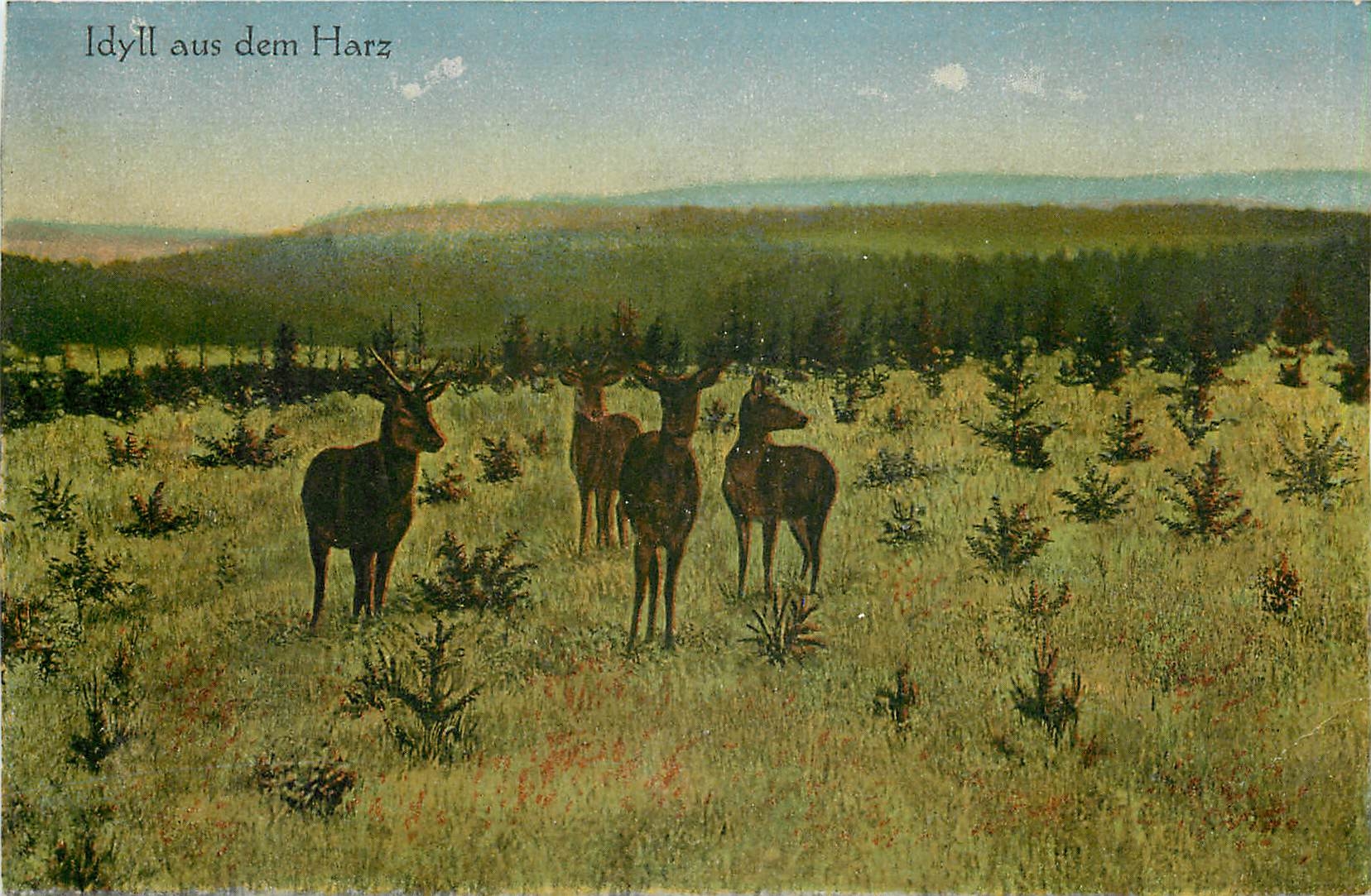 CPA Idyll aus dem Harz Biches