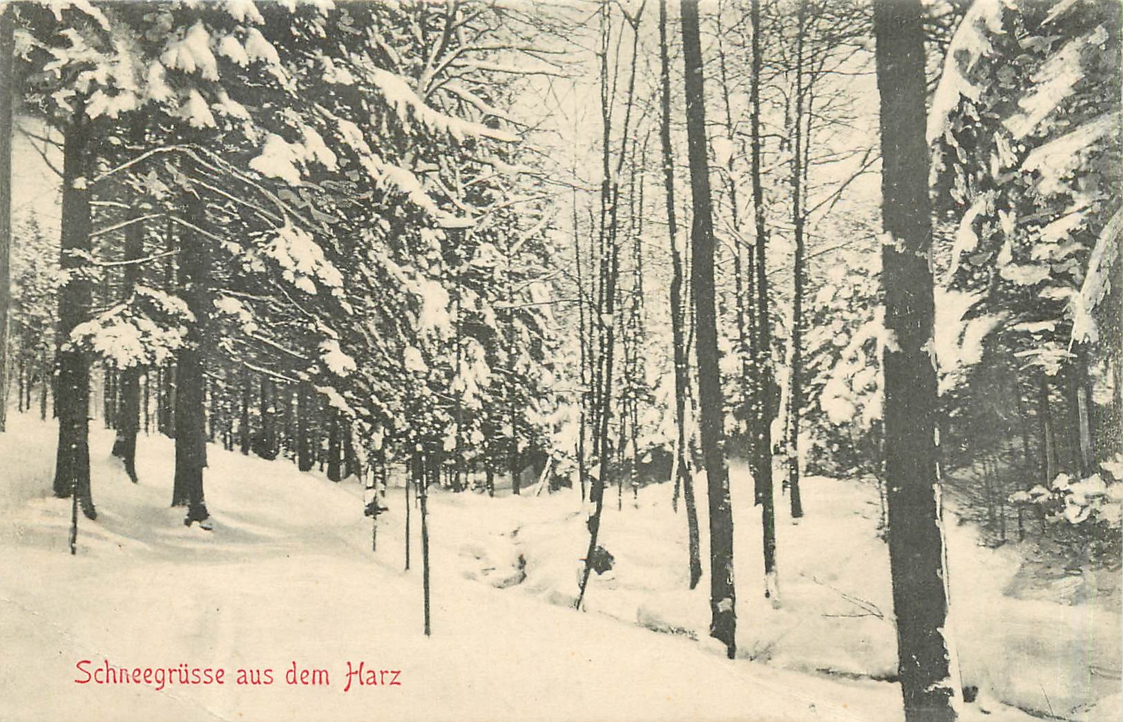 CPA Schneegrusse aus dem Harz 