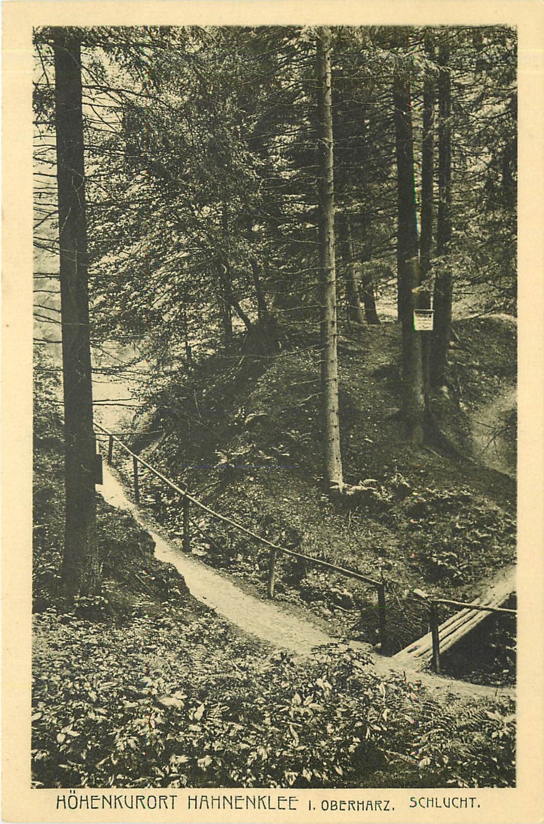 CPA Hohenkurort Hahnenklee i Oberharz Schlucht 
