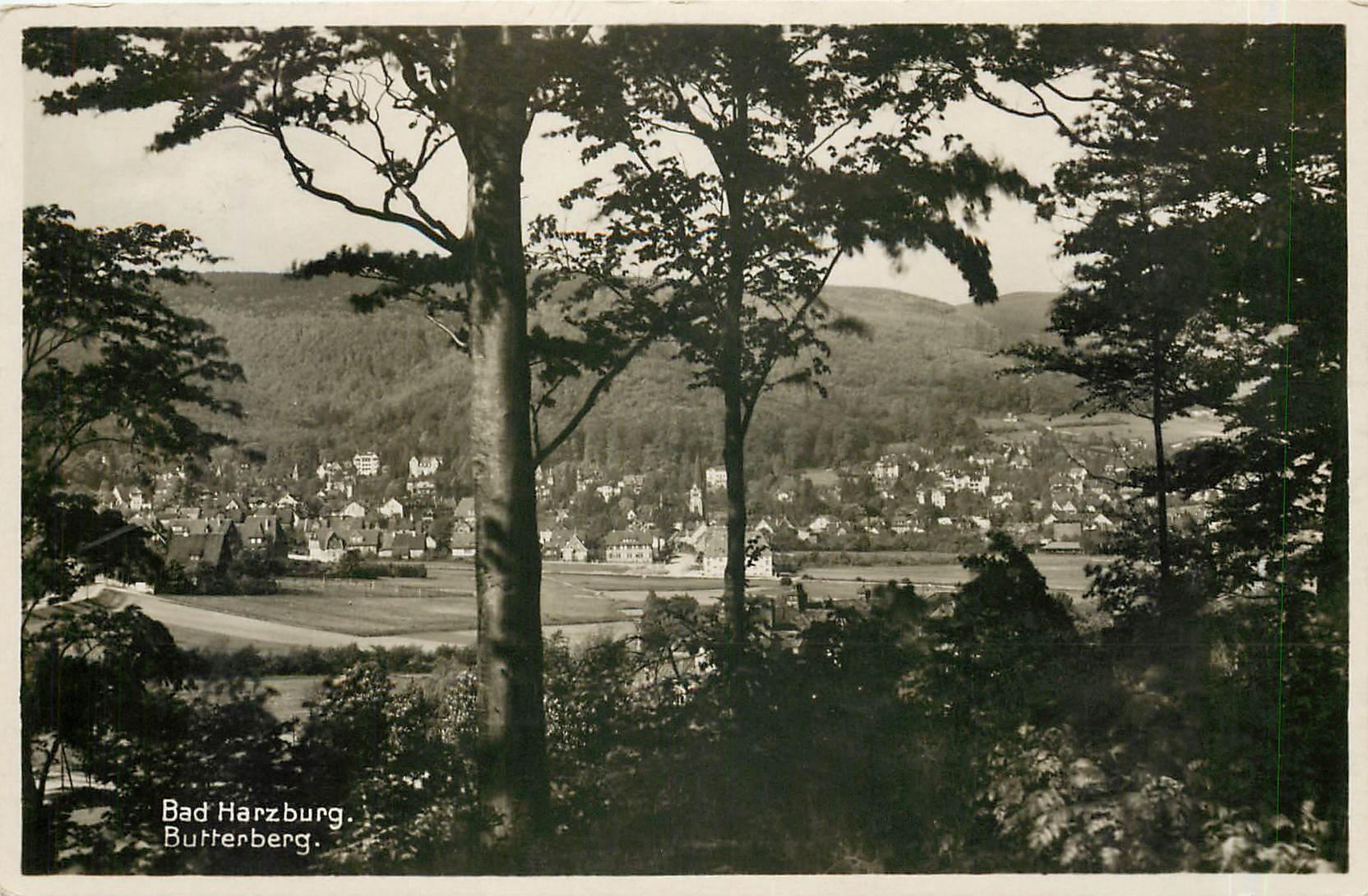 CPA Bad Harzburg Butterberg 