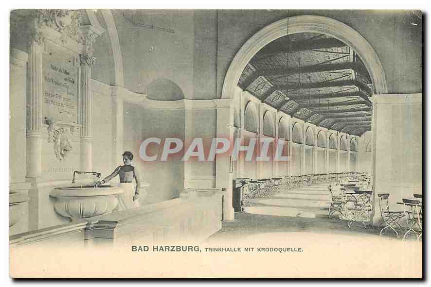 CPA Bad Harzburg Trinkhalle mit Krodoquelle 