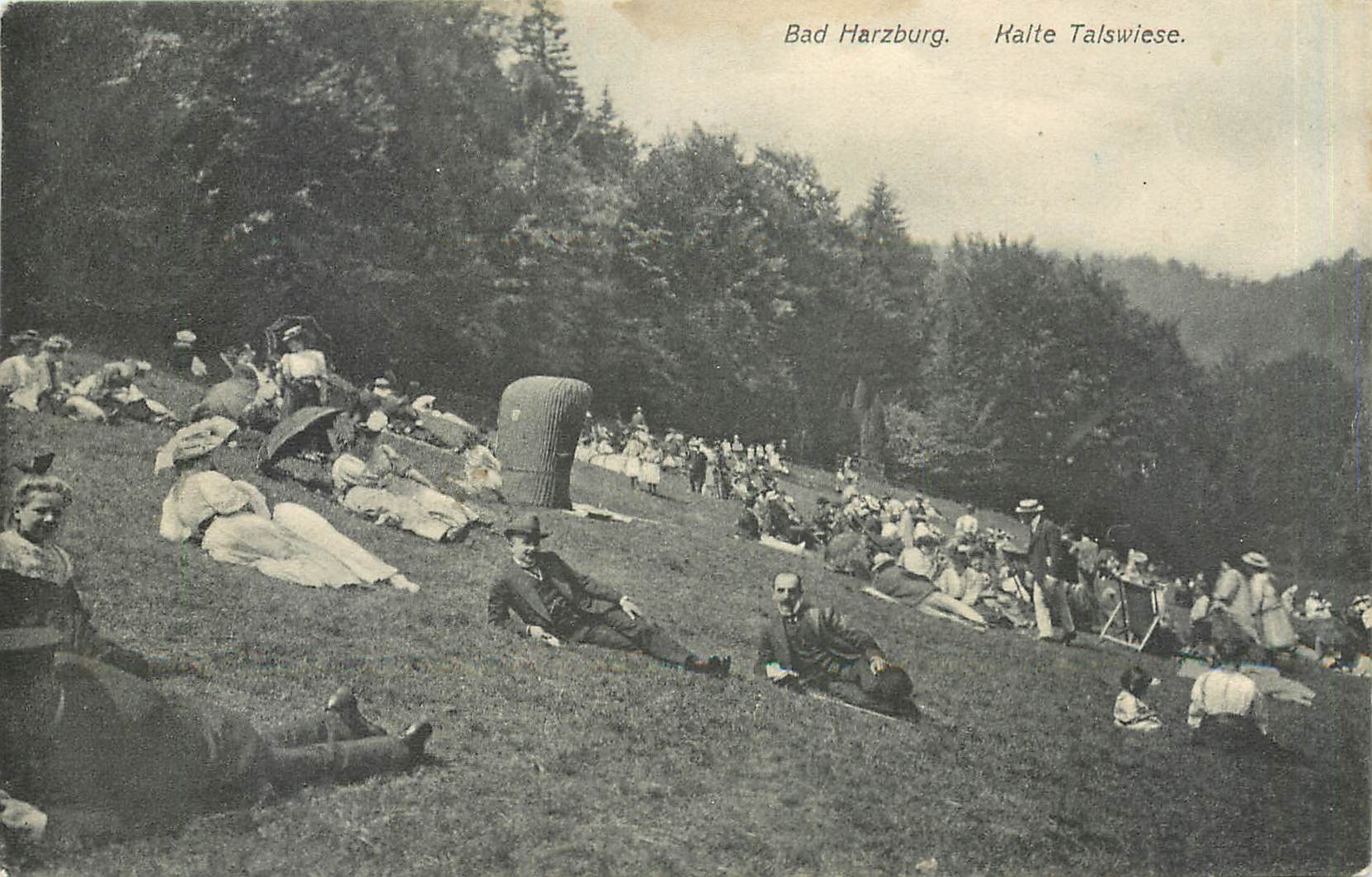 CPA Bad Harzburg Kalte Talswiese 