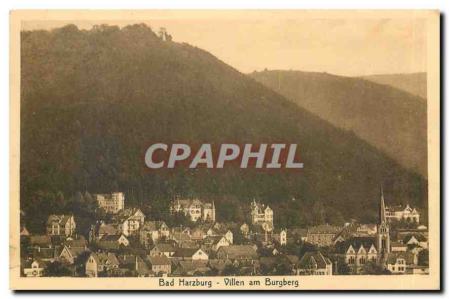 CPA Bad Harzburg Villen am Burgberg 