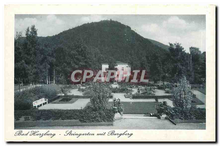 CPA Bad Harzburg Steingarten mit Burgberg 