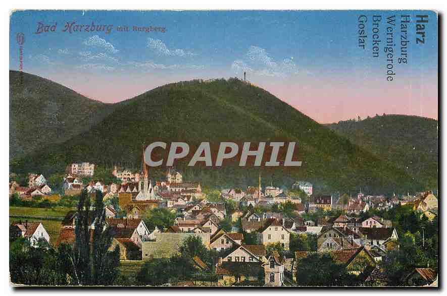 CPA Bad Harzburg mit Burgberg 
