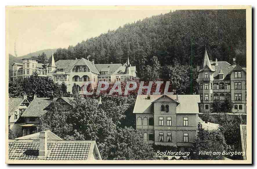 CPA Bad Harzburg Villen am Burgberg 