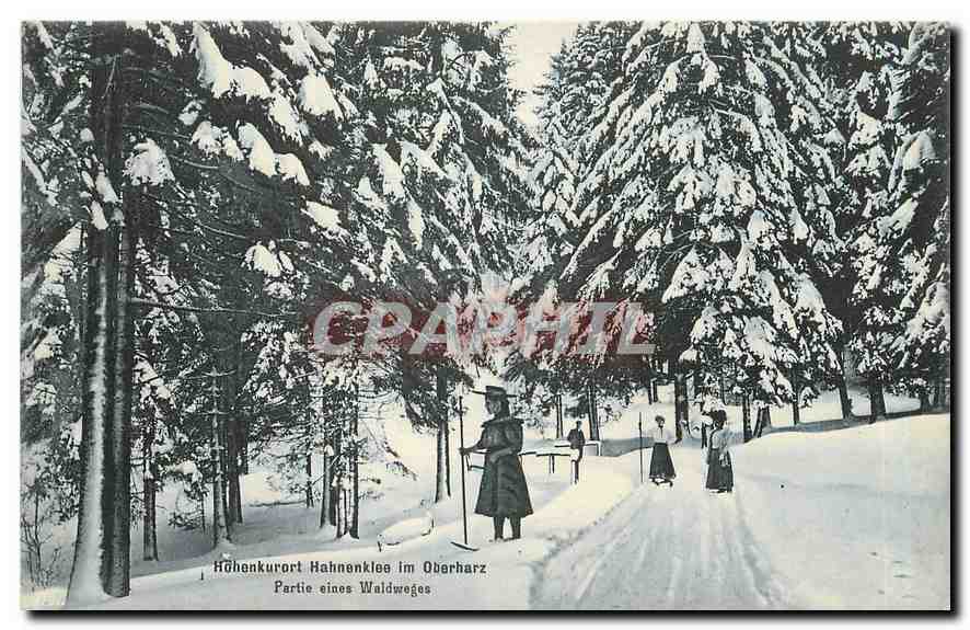 CPA Hohenkurort Hahnenklee im Oberharz Partie eines Waldweges Ski