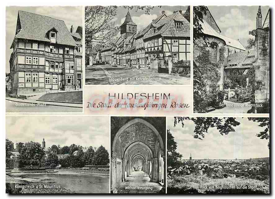 CPM Hildesheim Die Stadt der tousend jahrigen Rosen 