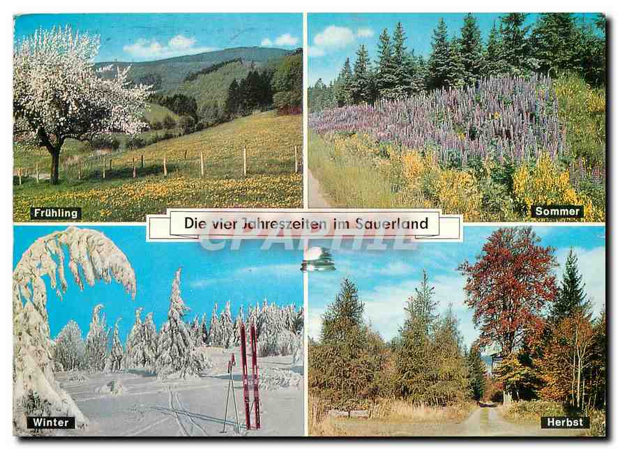CPM Die Vier Jahreszeiten im Sauerland 