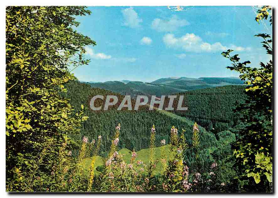 CPM Ruhe und Erholung im Hochsauerland dem Land der tausend Berge 