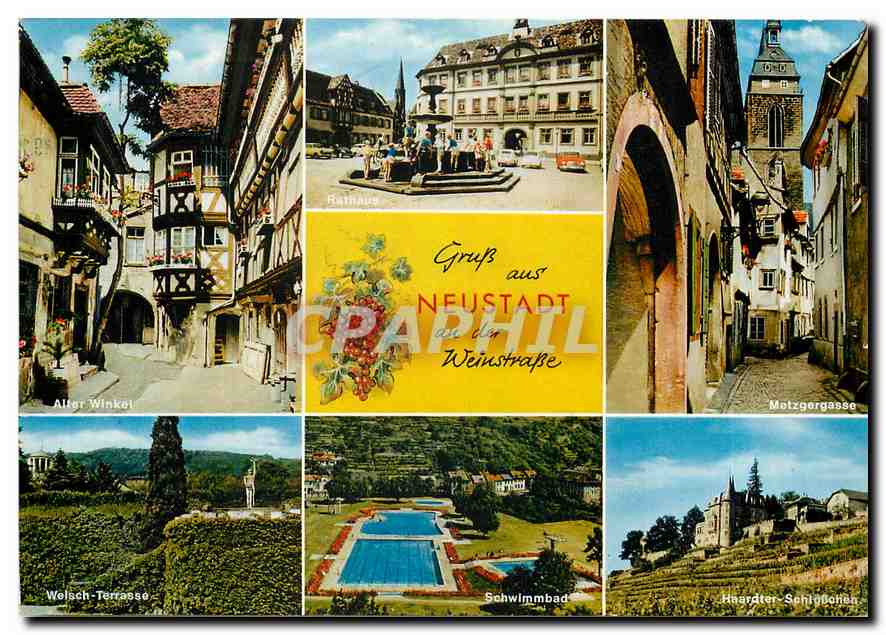 CPM Gruss aus Neustadt an der Weinstrasse 