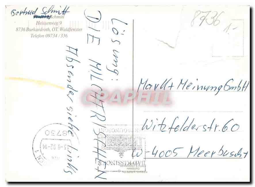 CPM Pension Schmitt  — Back