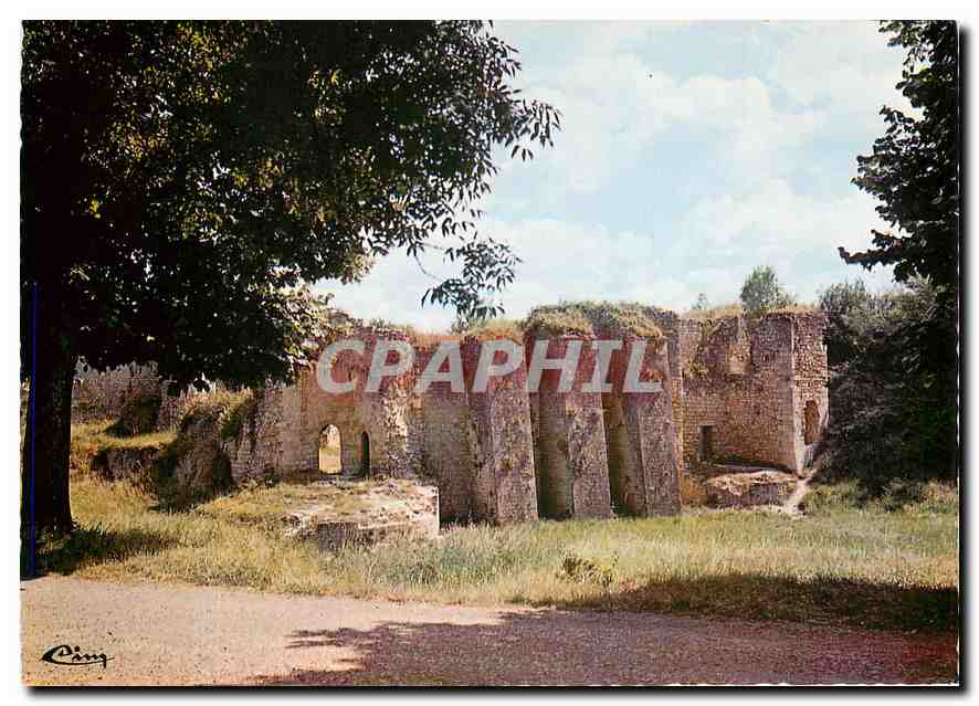 CPM Blaye Ruines du Chateau des Rudel 