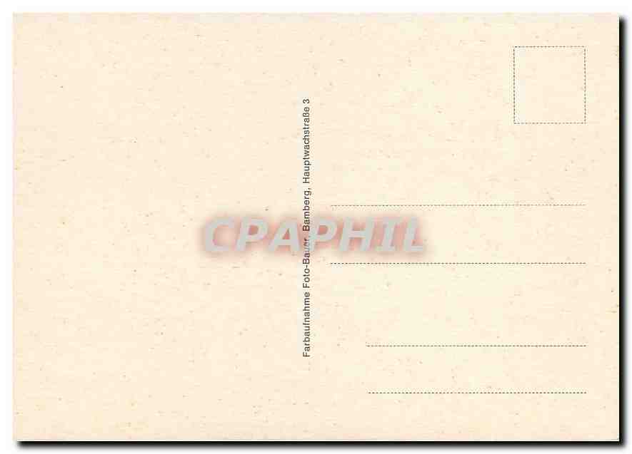 CPM Bamberg — Back