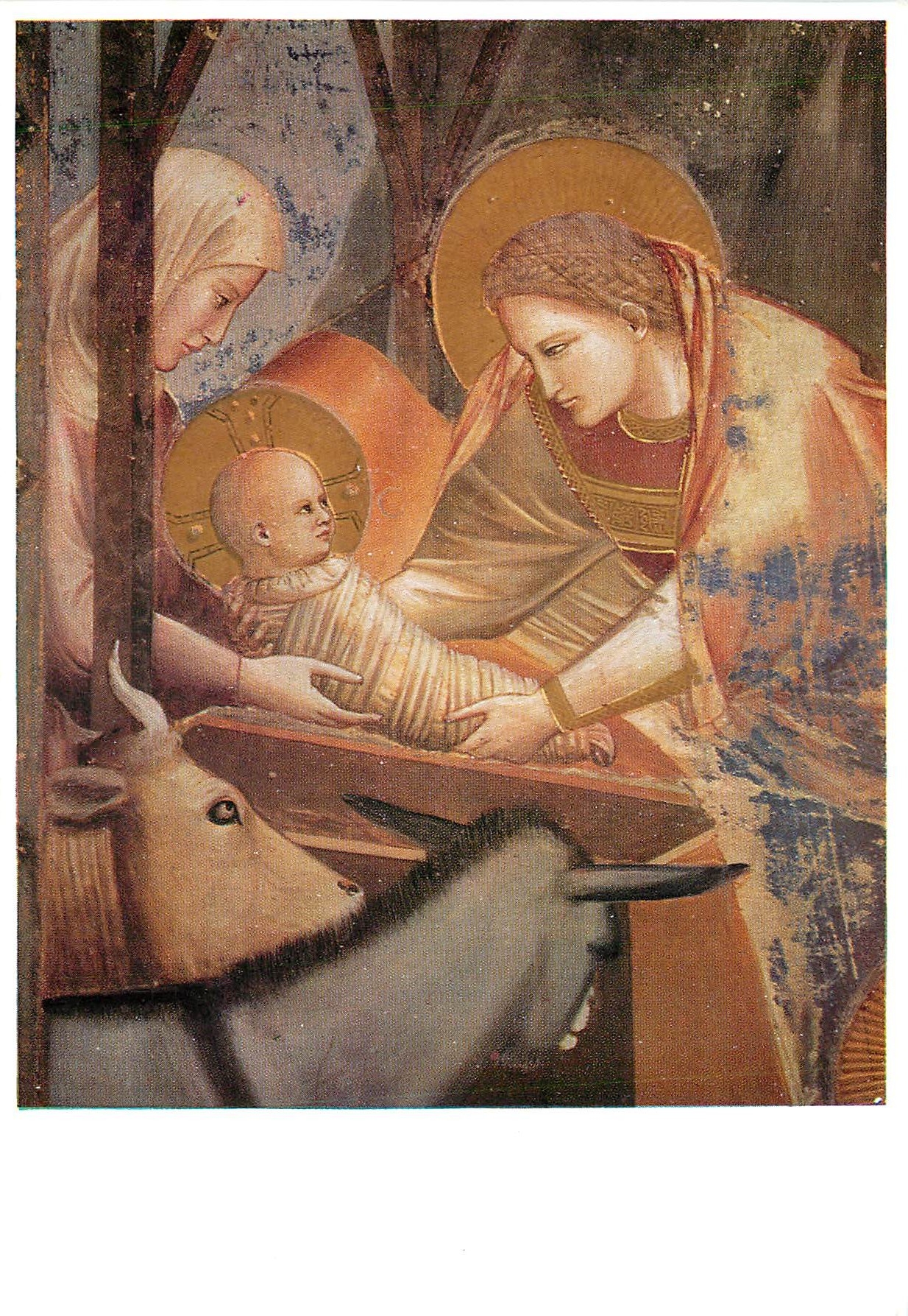 CPM Giotto Cappella degli Scrovegni Nativita di Gesu 