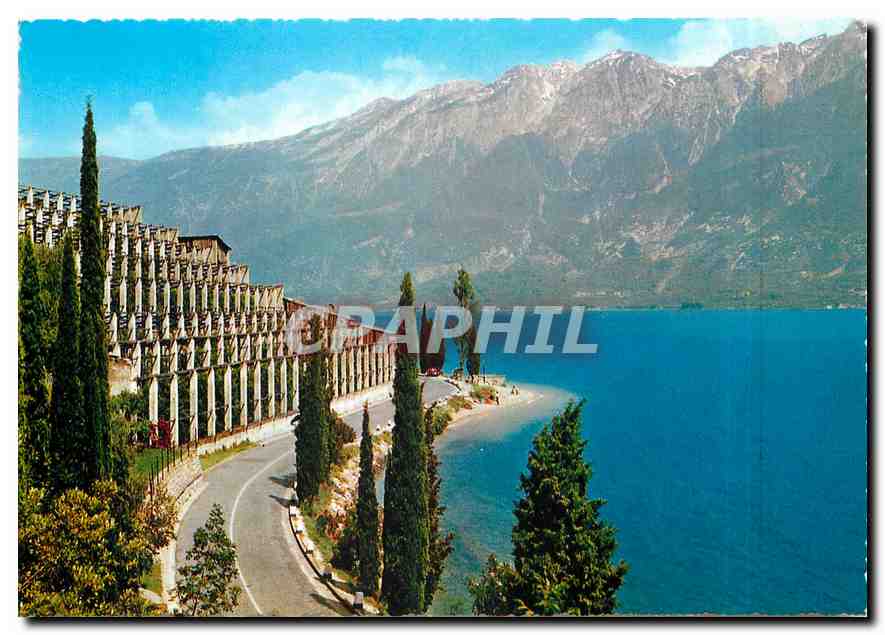 CPM Le lac de Garda Limonaie et Mont Baldo 