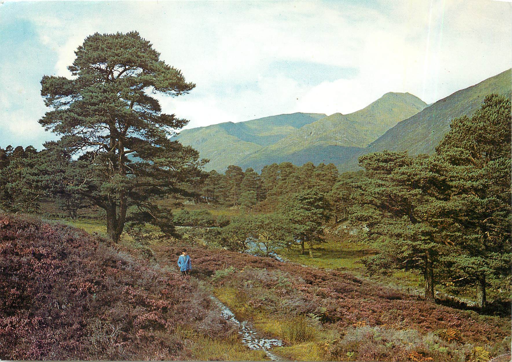 CPM Glenn Affric Inverness shire 